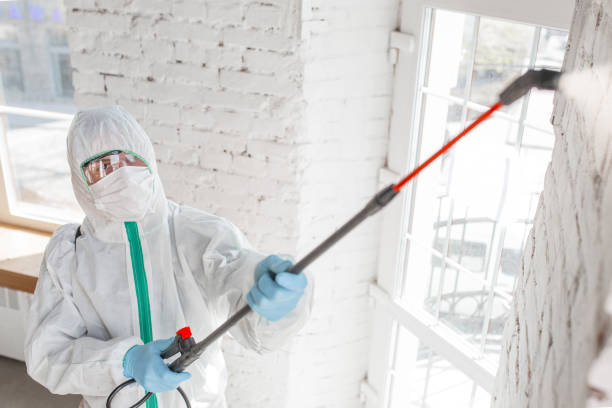 Best Mold Documentation for Insurance Claims  in Springmont, PA