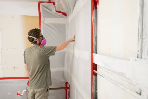 Best HVAC Mold Inspection and Cleaning  in Springmont, PA