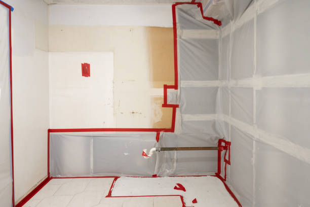 Best Biohazard Mold Removal  in Springmont, PA