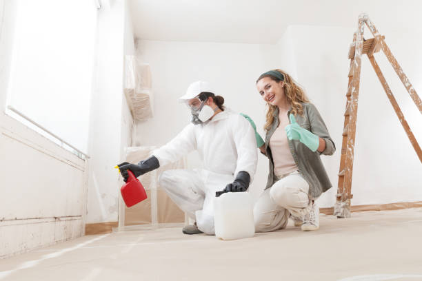 Best Industrial Mold Remediation  in Springmont, PA