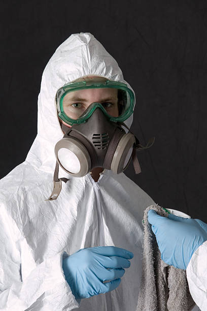 Professional Mold Removal in Springmont, PA